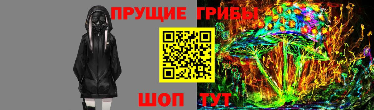 Волжск  Псилоцибиновые грибы Magic Shrooms  Псилоцибиновые грибы Psilocybe  Вход с VPN 
