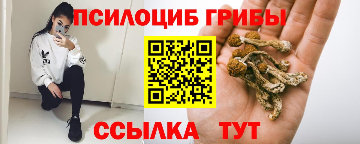 Псилоцибиновые грибы мухоморы Волжск